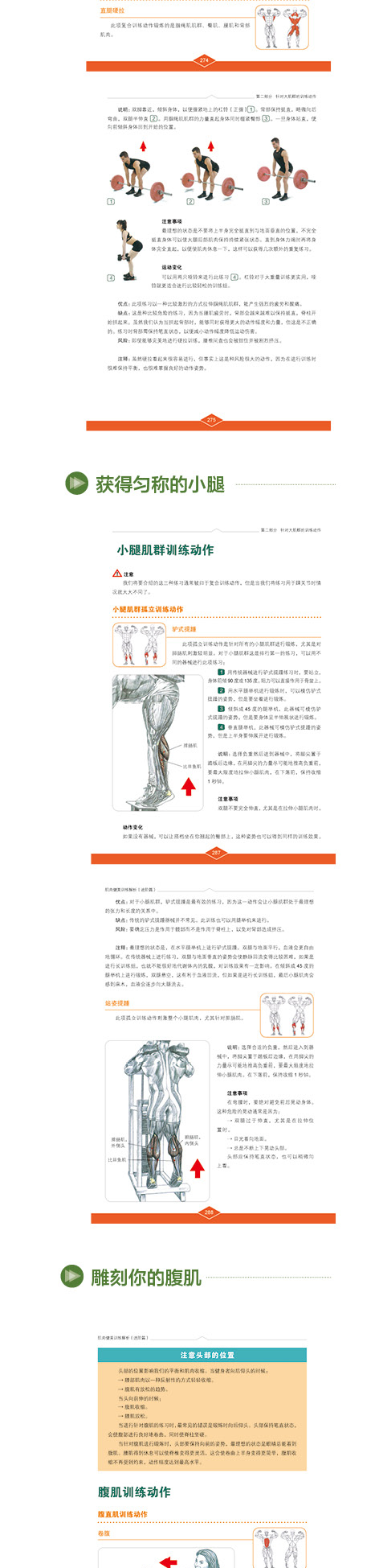 1719908320863156.jpg 1719908320863156.jpg