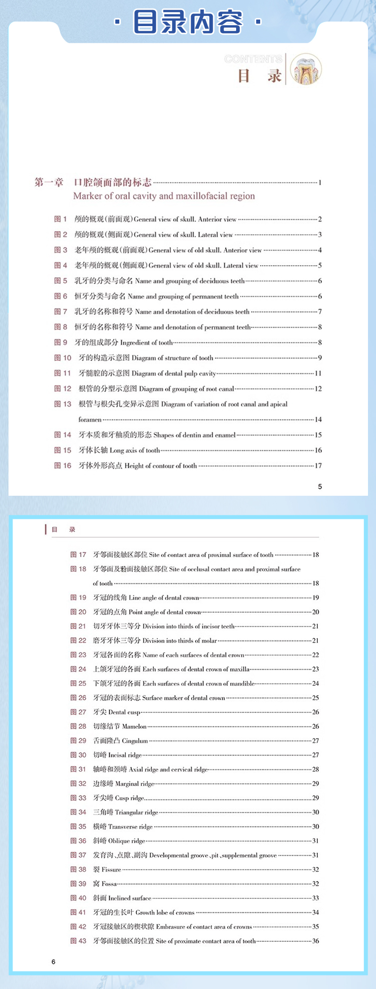 1720080589474249.jpg DM_20240704155408_004.jpg