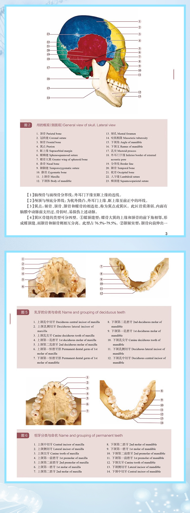 1720080591489424.jpg DM_20240704155408_005.jpg