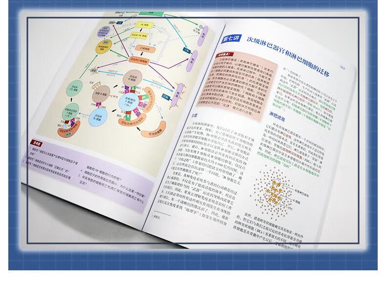 1720682679557667.jpg DM_20240711150718_004.jpg