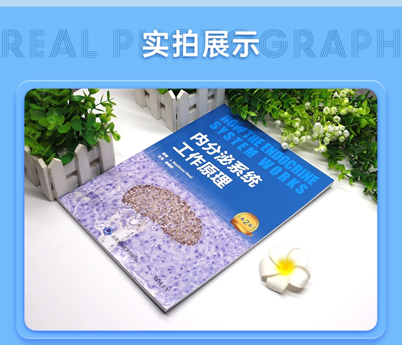 1720682746432399.jpg DM_20240711150030_004 - 副本.jpg