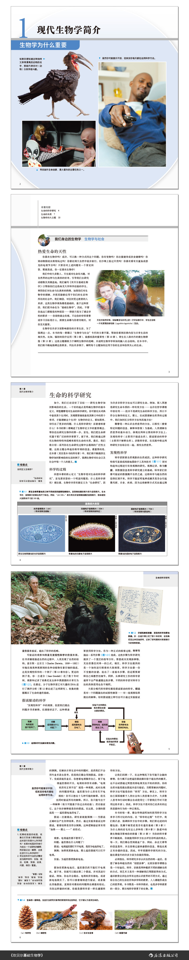 1721724845197312.jpg 10002.jpg