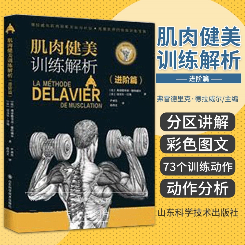 2024新版:【肌肉健美訓練解析】(基礎篇+進階篇+强化篇) 2024新版:【肌肉健美訓練解析】(基礎篇+進階篇+强化篇)