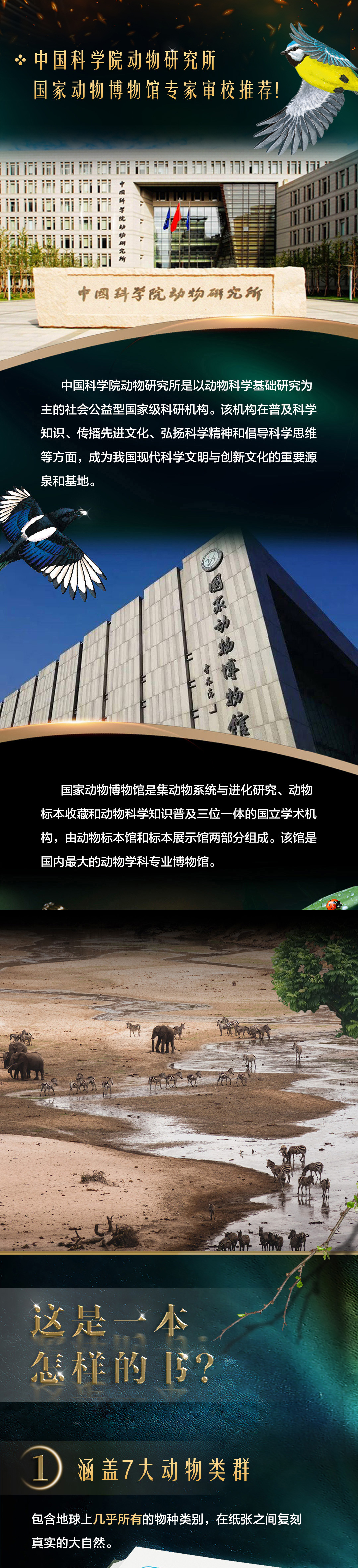 1724055944458241.jpg DM_20240819161809_004.jpg