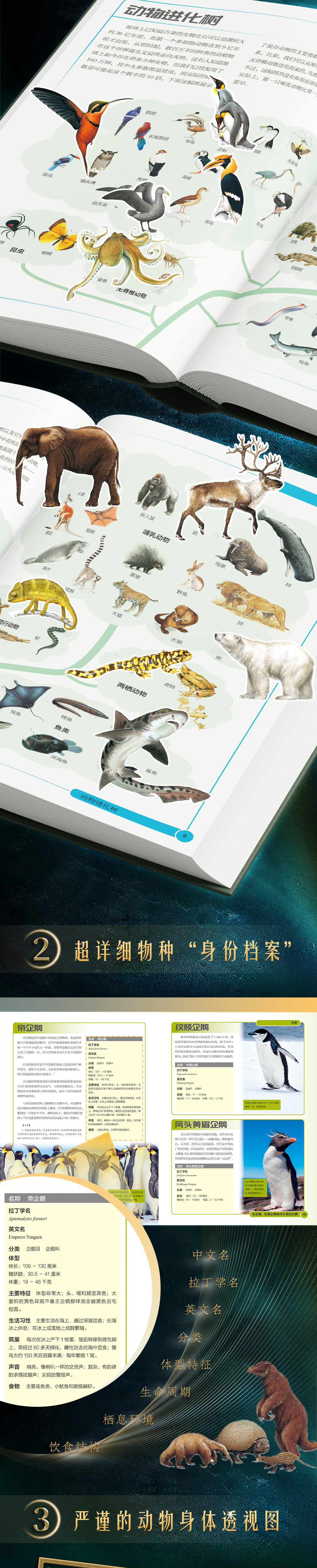 1724055954890614.jpg DM_20240819161809_005.jpg