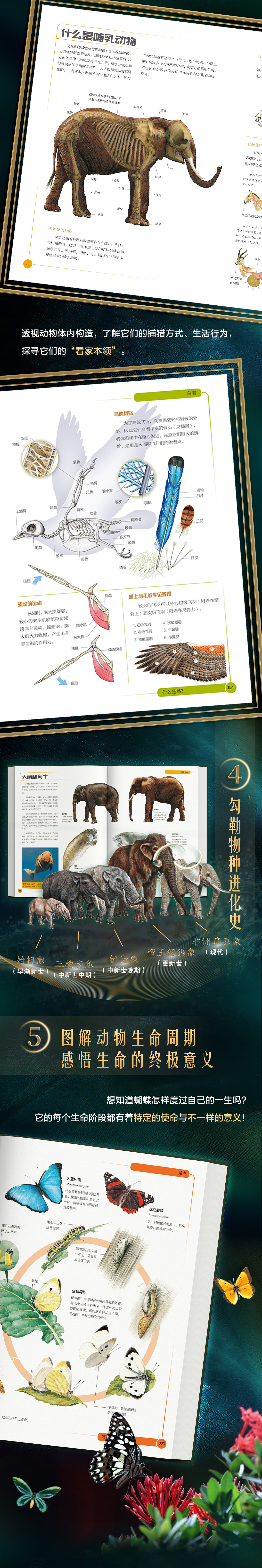 1724055959121273.jpg DM_20240819161809_006.jpg