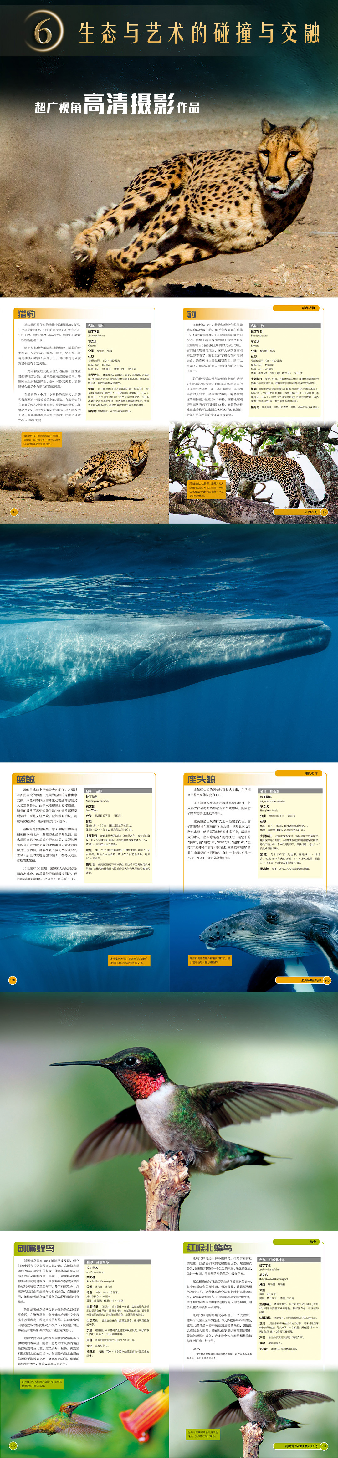 1724055964918832.jpg DM_20240819161809_007.jpg