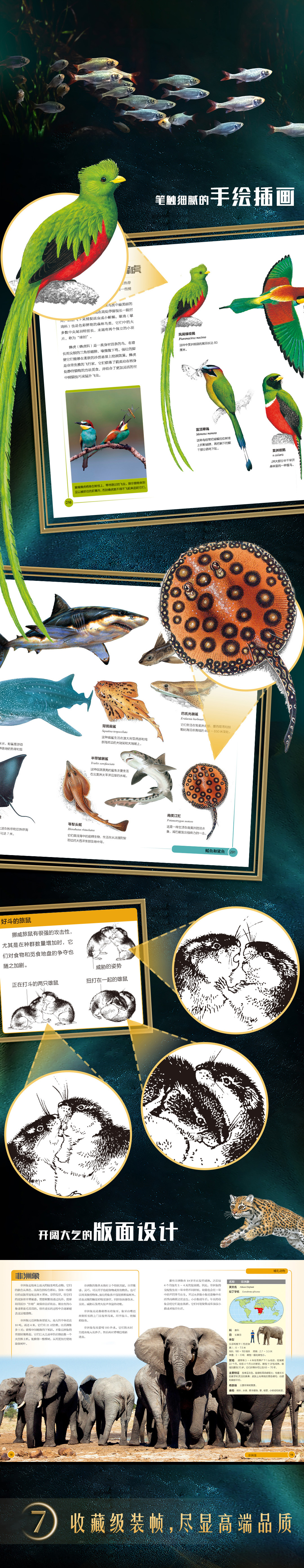 1724055971870853.jpg DM_20240819161809_008.jpg