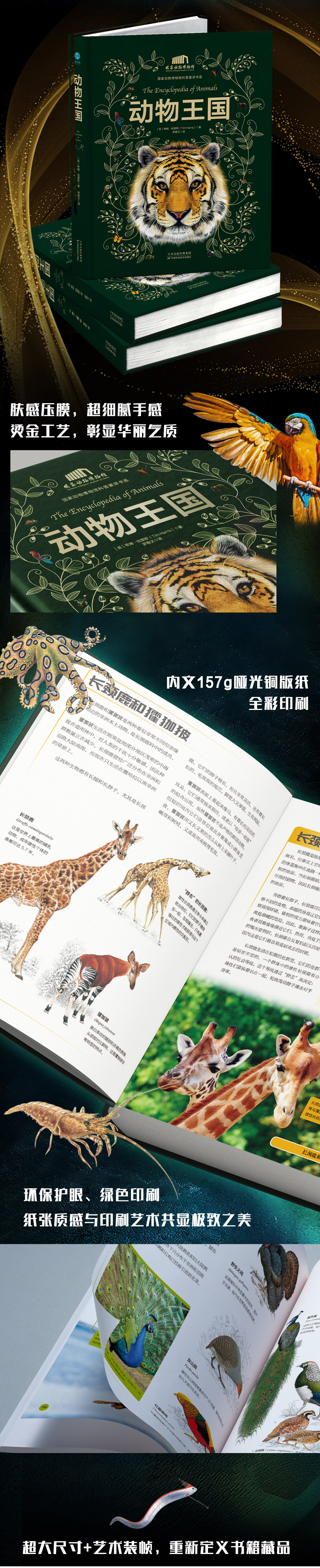 1724055983968012.jpg DM_20240819161809_009.jpg