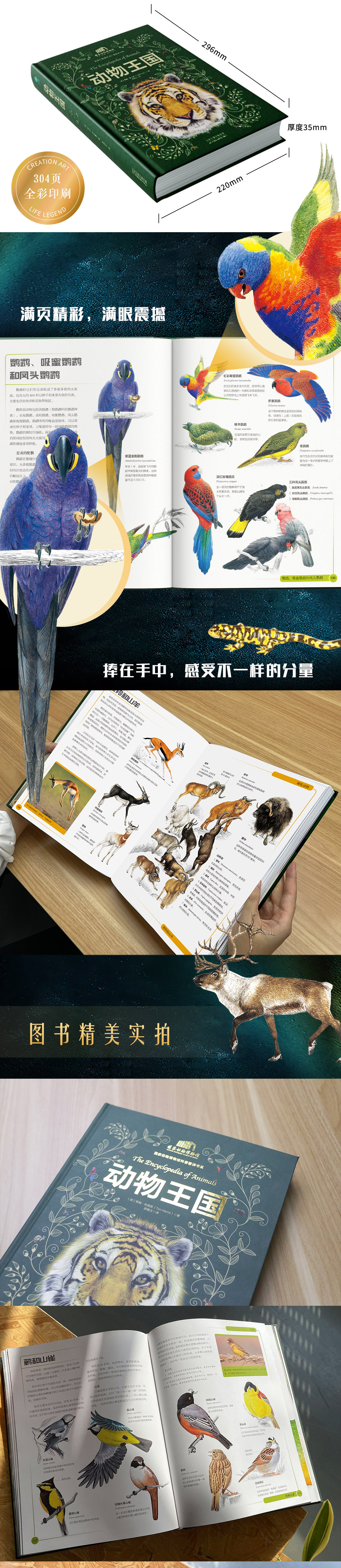 1724055990153751.jpg DM_20240819161809_010.jpg