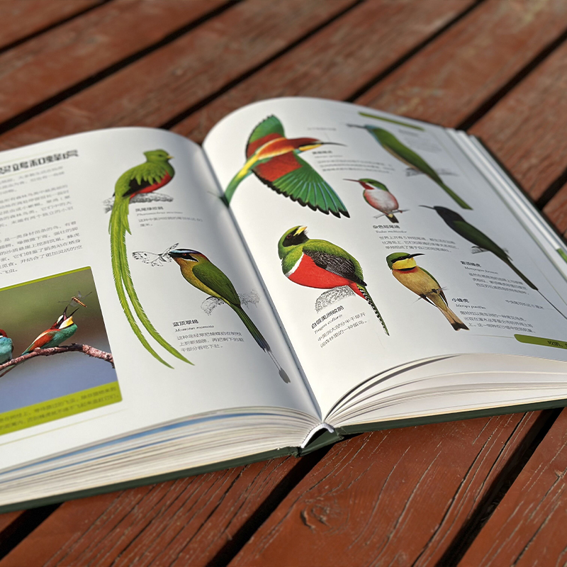 【動物王國】(中國科學院動物研究所·國家動物博物館專家審校推薦) 【動物王國】(中國科學院動物研究所·國家動物博物館專家審校推薦)