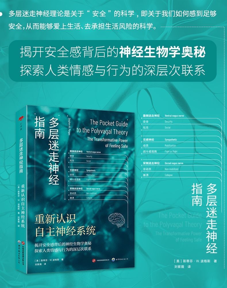 1725440530710878.jpeg 10003.jpeg