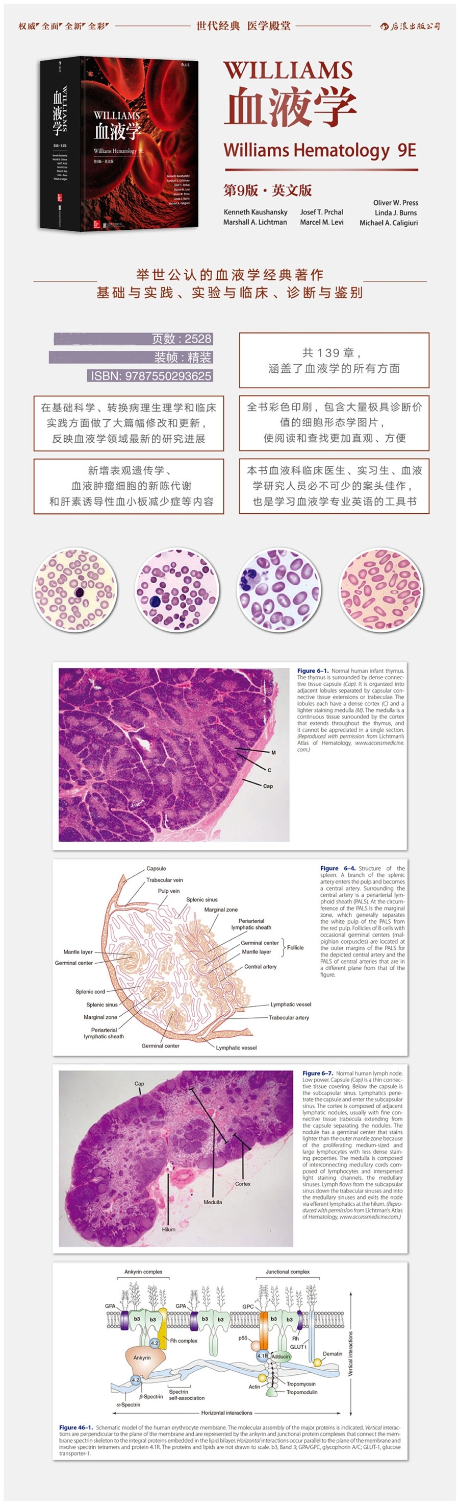 1729846118511163.jpg ced3ede8-f07a-41af-998c-0a66467b774d.jpg