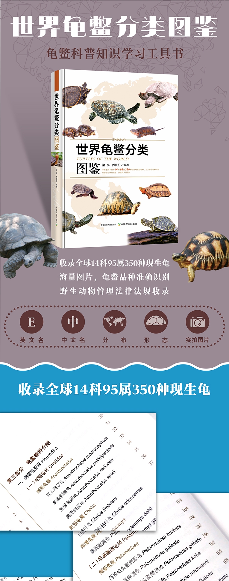 1730099787403797.jpg dc12804c-3b0c-4c3d-8672-e08d5a577933.jpg