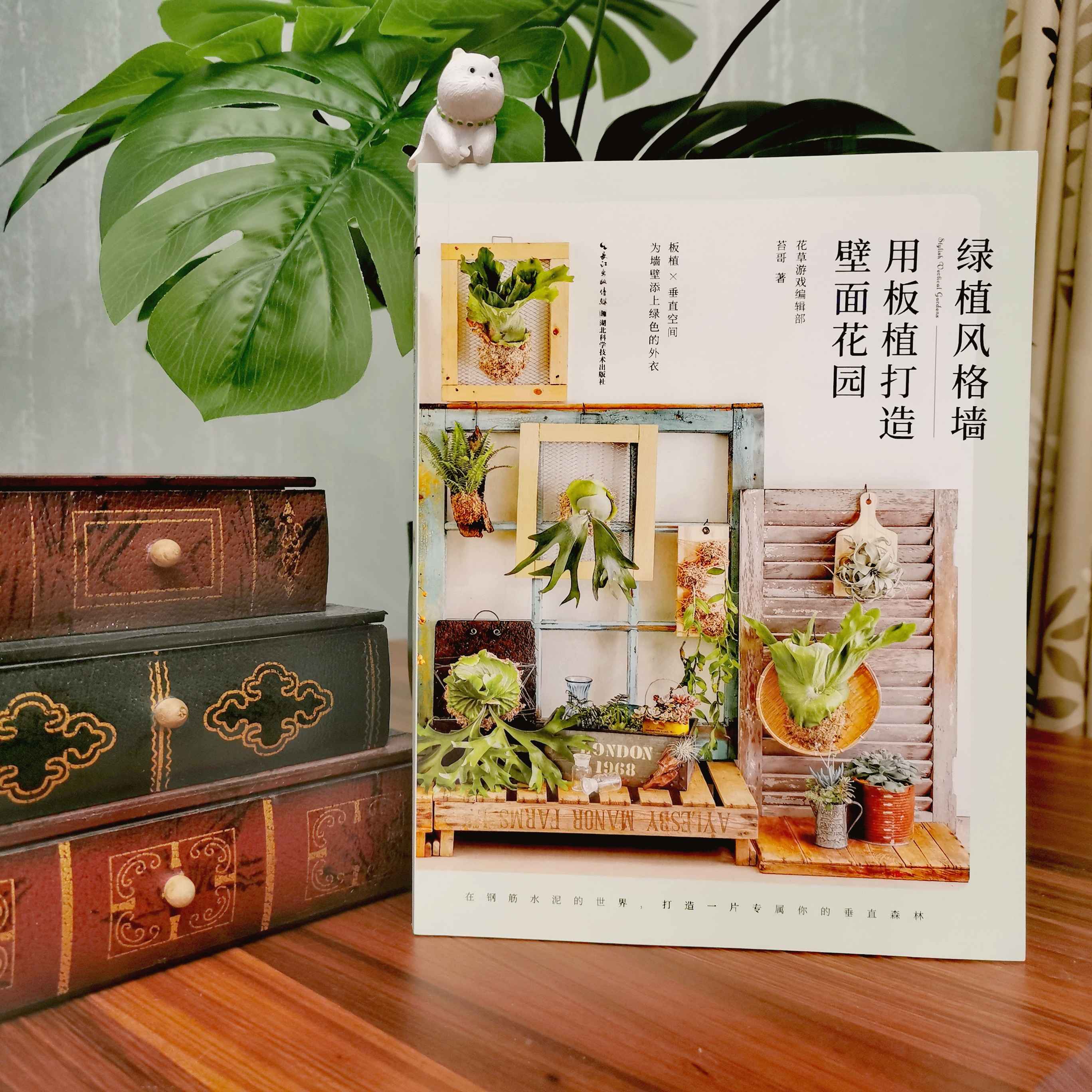 【觀葉植物圖鑒】[泰]+【綠植風格牆：用板植打造壁面花園】