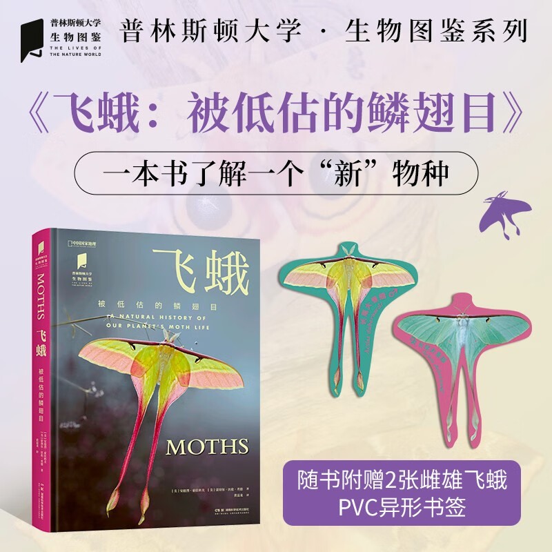 普林斯頓大學生物圖鑒:【飛蛾(被低估的鱗翅目)+甲蟲(鞘翅目征服地球)】
