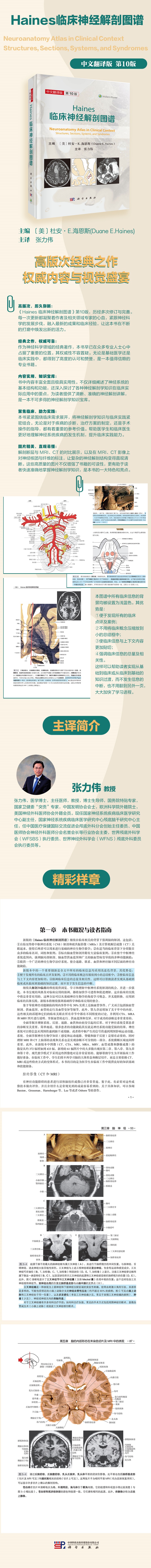 1744275689872691.jpg 99999990597416287.jpg