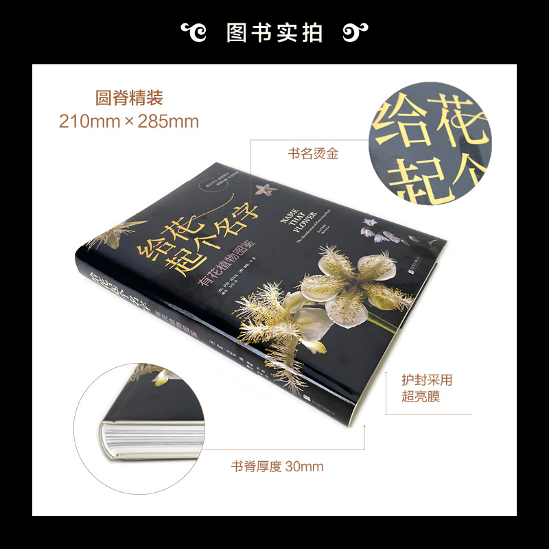 給花起個名字:【有花植物圖鑒】 給花起個名字:【有花植物圖鑒】