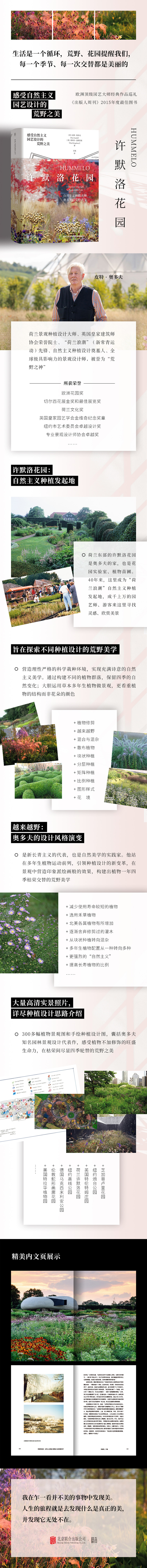 1746498514809823.jpg 10001.jpg