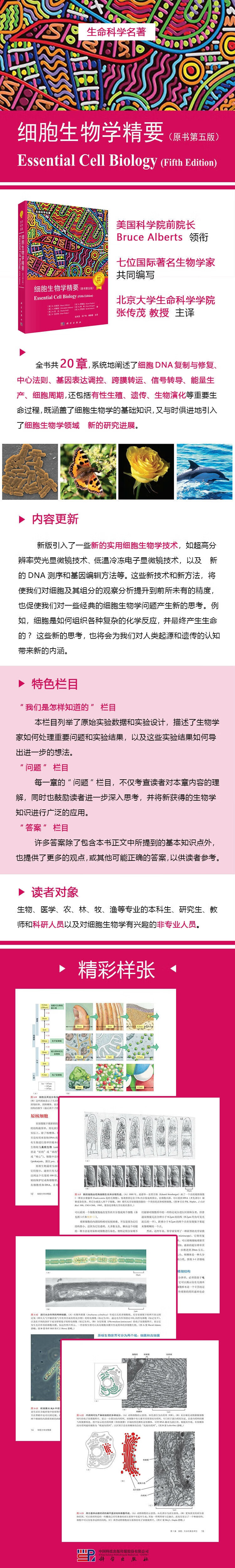 1747119086193807.jpg 详情-01.jpg