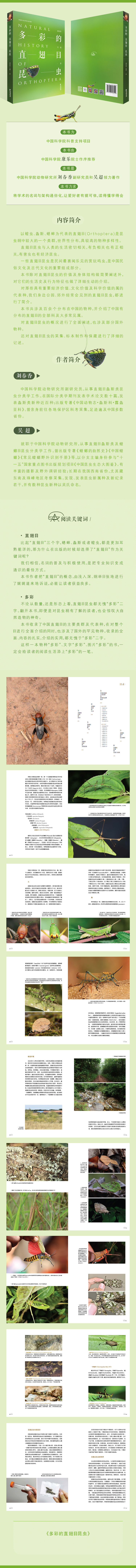 1748503911825655.png 10004.png