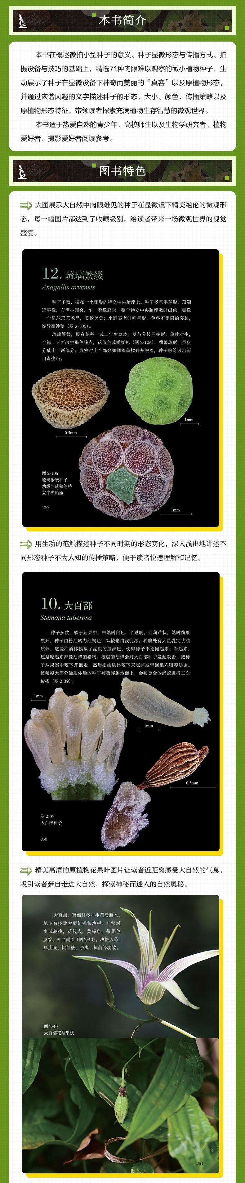 1748946704182332.jpg 10002.jpg