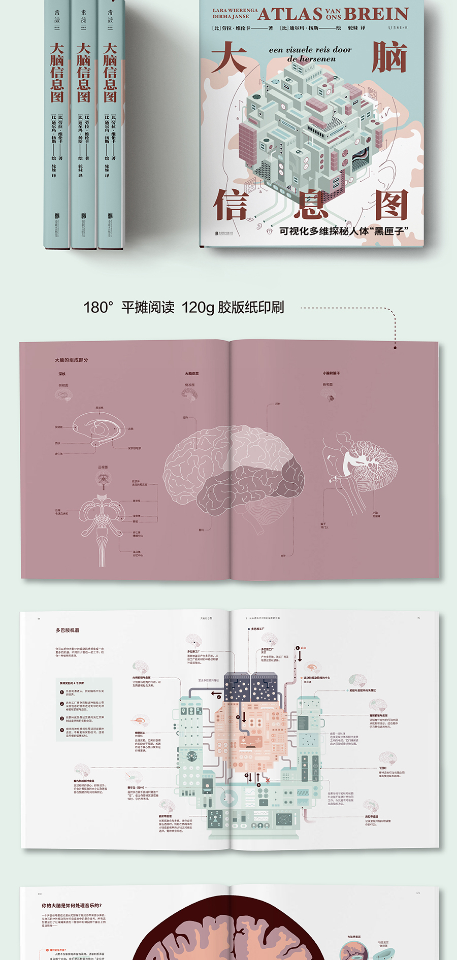 1749120723513572.jpg 4.jpg