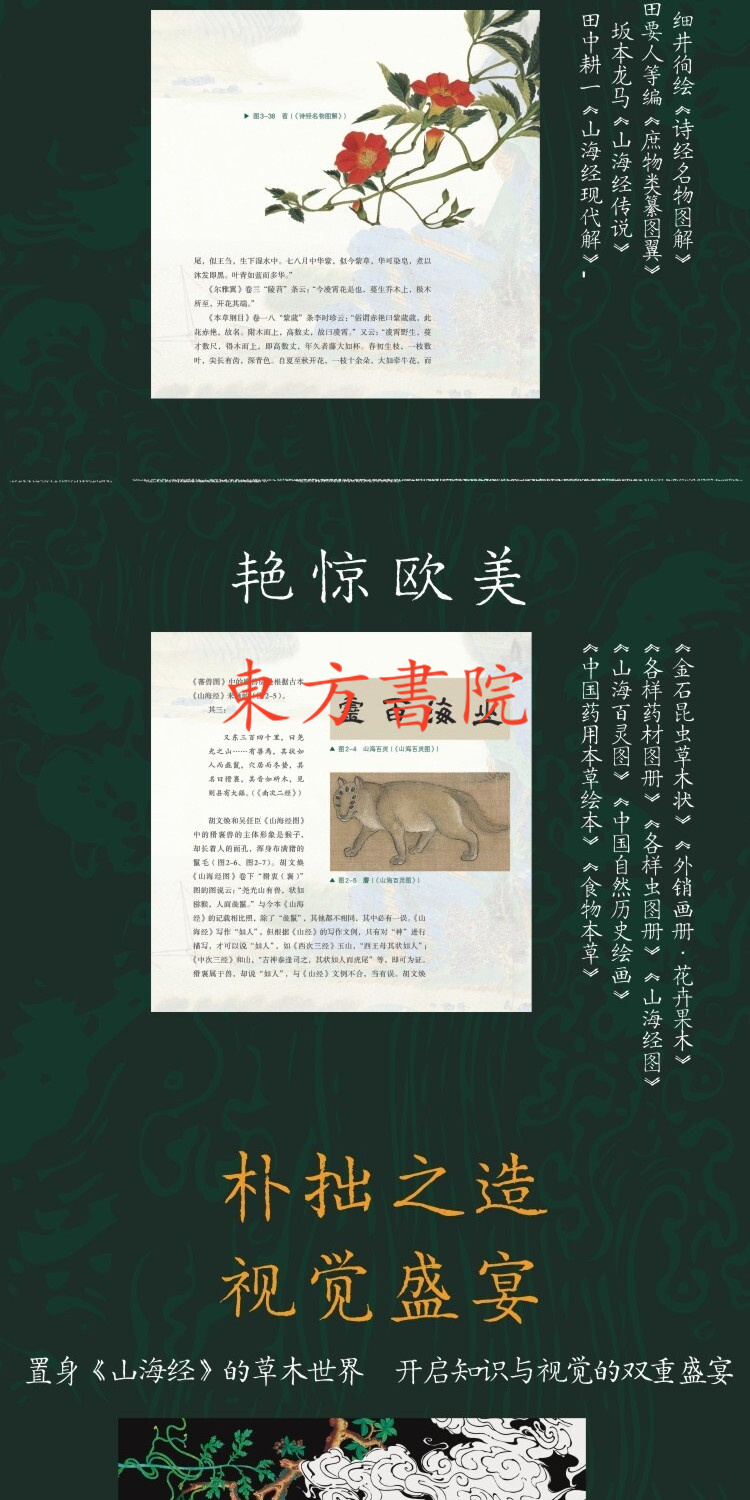 1749798059237488.jpg 详情-22.jpg