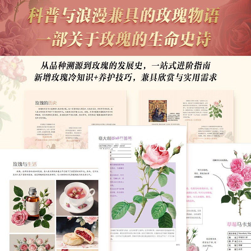 給優雅盛放浪漫生活的你【玫瑰全書】(禮盒典藏特裝刷邊版) 給優雅盛放浪漫生活的你【玫瑰全書】(禮盒典藏特裝刷邊版)