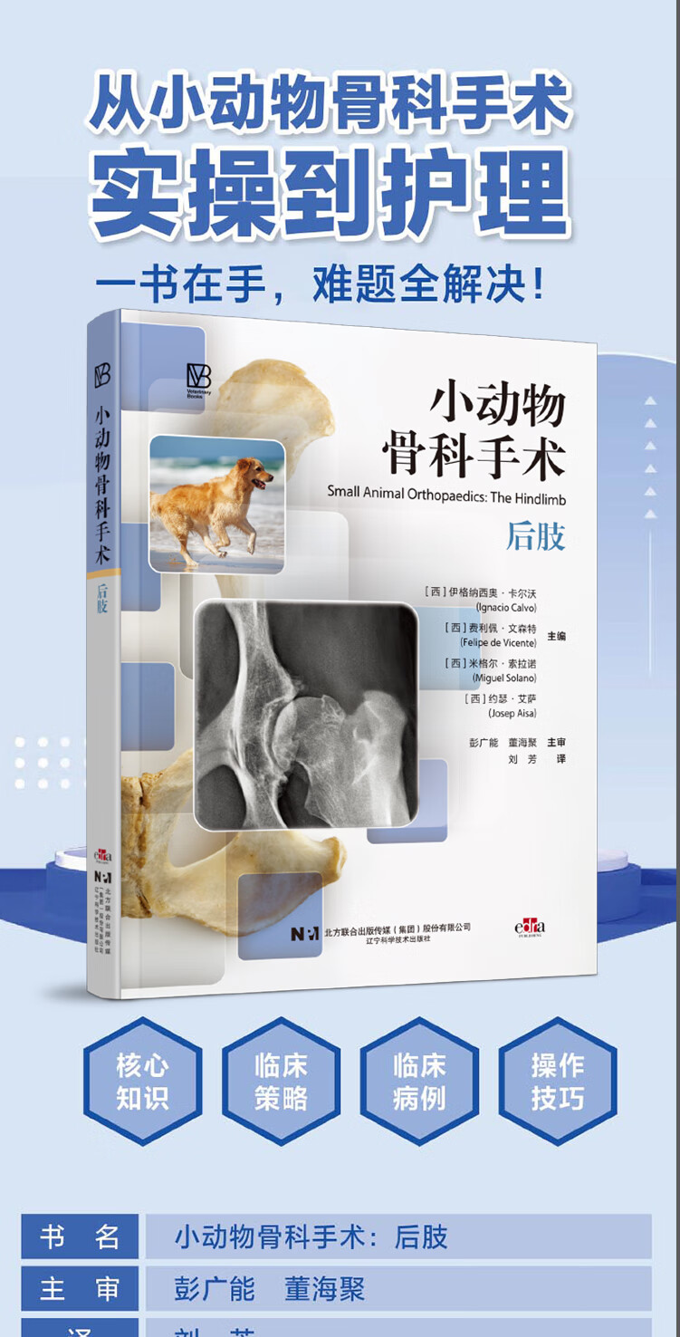 1754969508635183.jpg 详情-01.jpg