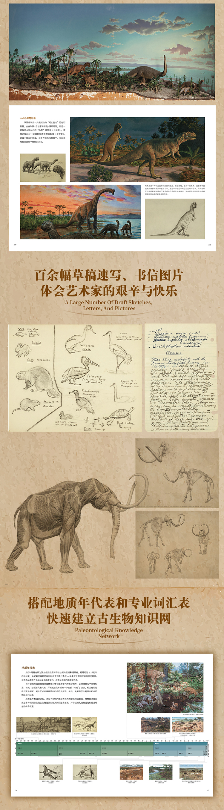 1755054829408057.jpg 10010.jpg