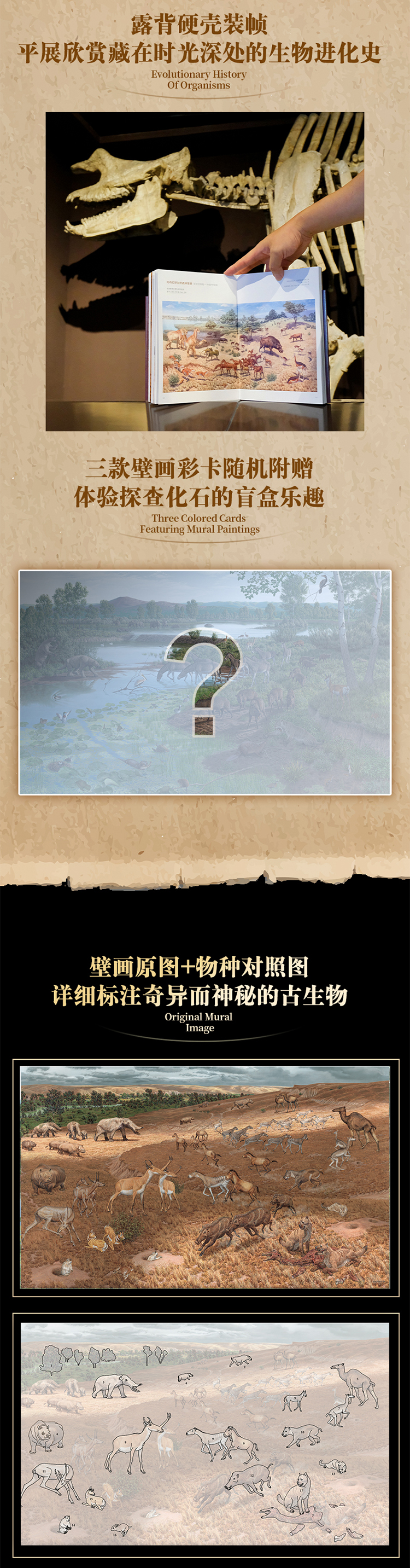 1755054833751861.jpg 10011.jpg