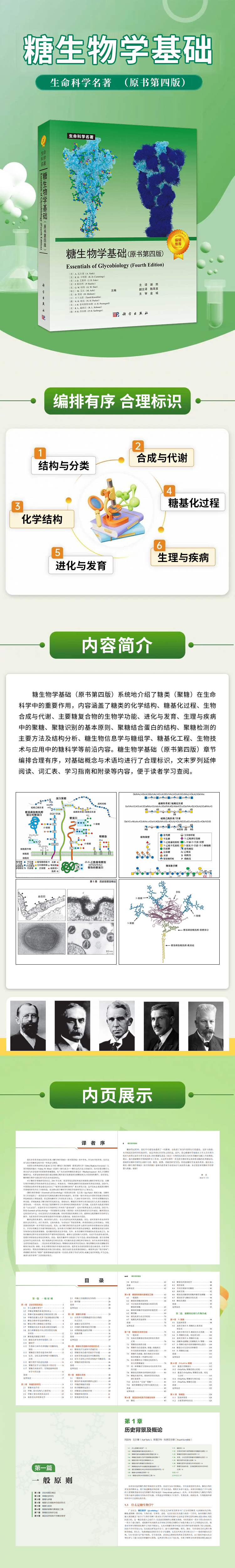 1755161559517534.jpg 10005.jpg