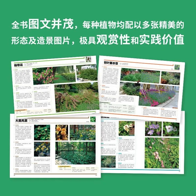 【植物造景系列叢書】(8册) 【植物造景系列叢書】(8册)