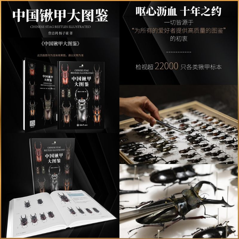 【鍬甲大圖鑒】（精裝典藏版）