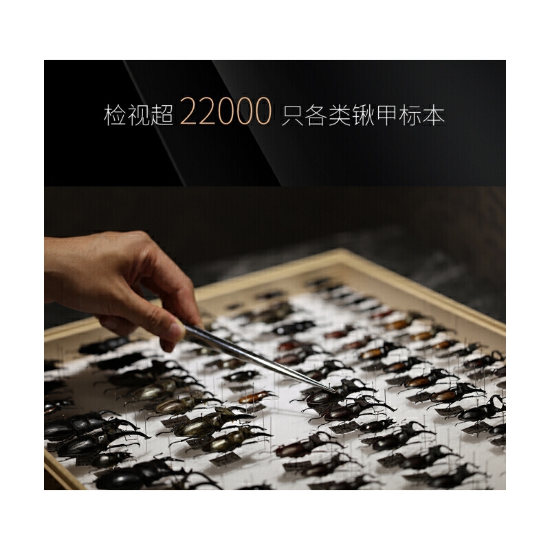 【鍬甲大圖鑒】(精裝典藏版) 【鍬甲大圖鑒】(精裝典藏版)